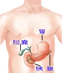 PNAS：用特异性基因突变诊断胰腺囊肿